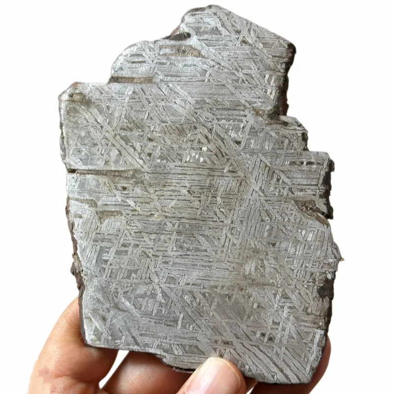 Muonionalusta Iron Meteorite Slice Etched Widmanstatten Pattern Irregular Specimen Mineral Collection Display CC262
