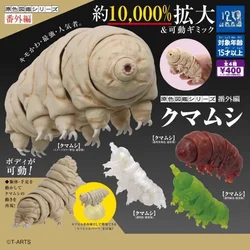 Japan Original Kawaii Gashapon Figure Anime Water Bear Figurine Tardigrade Cute Capsule Toys Miniature Assembly Model Gift