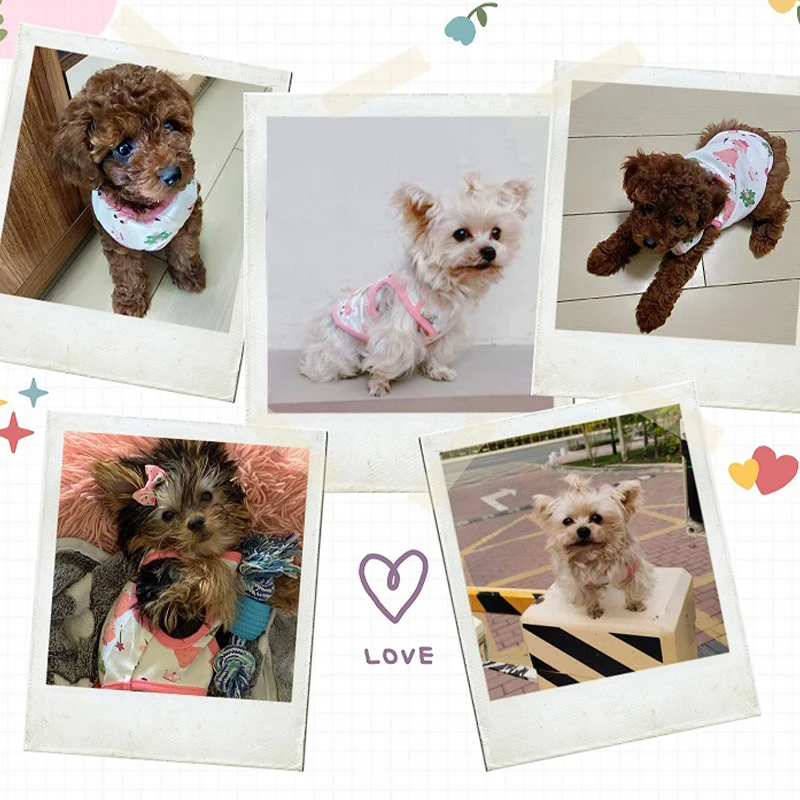 Summer Dog Vest Cute Pattern Chihuahua Yorkie Breathable Solid Shirts Puppy Thin Fashion Vest Pet Clothing