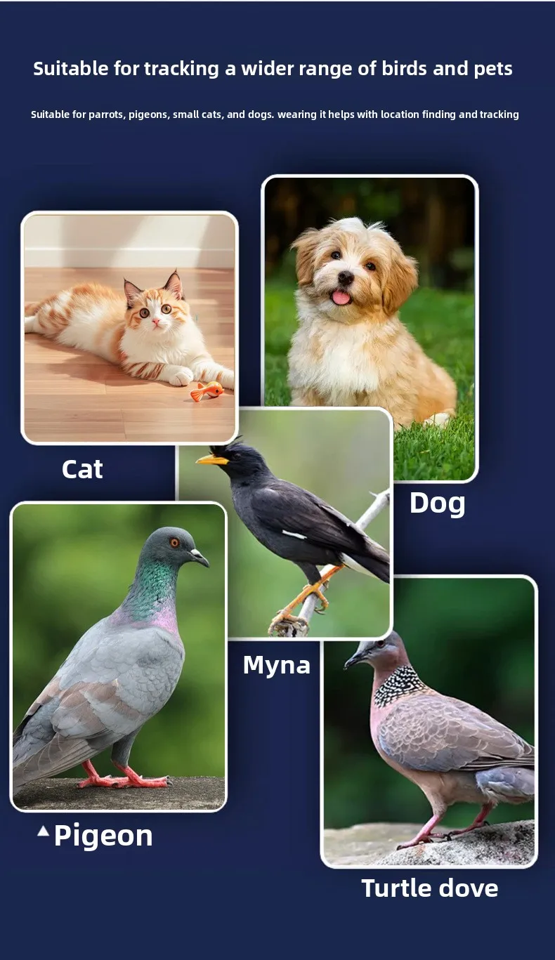 forReal-Time GPS locator for Pigeons and Loros Outdoor Flight locator Leg Bands and Ring Pigeon Piogeon Bird Positioning