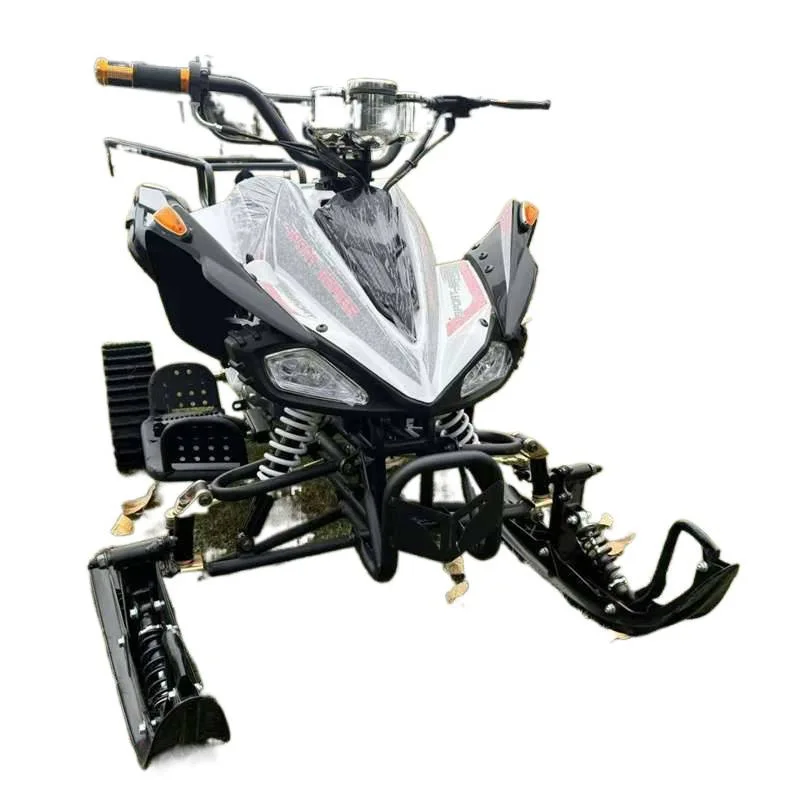 

Beach Motorcycle All Terrain Snow Land Dual Purpose Quad Mountain Bike