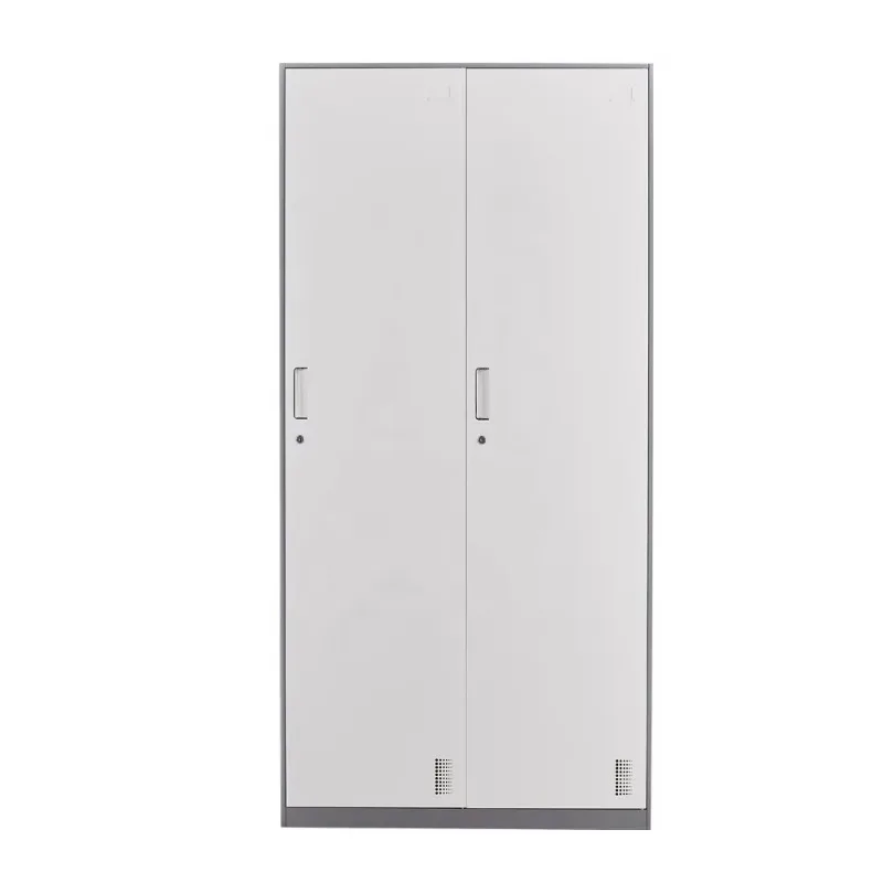 Changing Room Employee Locker Locker Bag Storage School Student Metal Dressing Cabinet 2 Door Steel