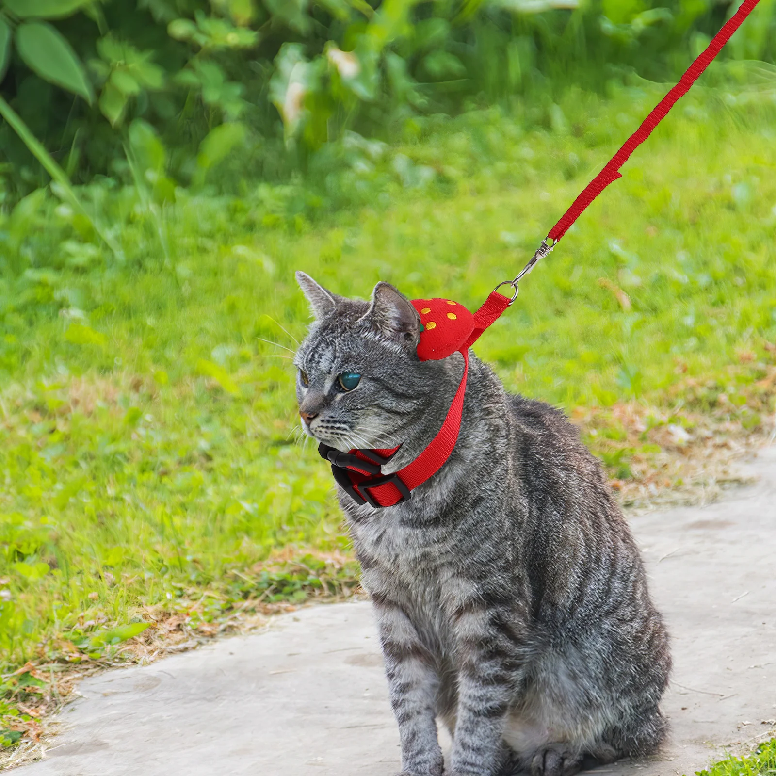 

2Sets Pet Harness Leash Set Lightweight Adjustable Bunny Rabbit Outdoor Small Pets Traction Rope Comfortable Walking Supplies