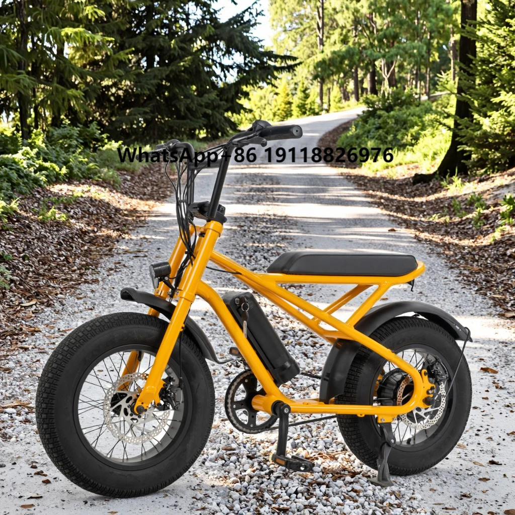 

FUN for Kids Electric Bike Source Factory Electrically Children's Fatbike16inch Fat Tire Ebike electric bike kids
