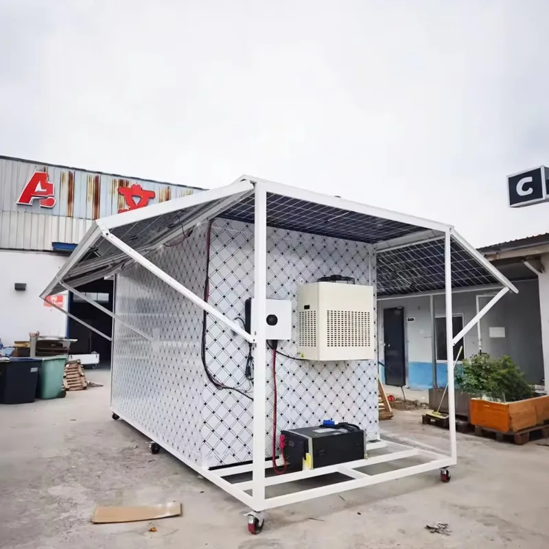 Solar Walk in Freezer Container for Meat Vegetables Fish Grid Refrigeration System Cold Room Chambre Froide Solaire Custom