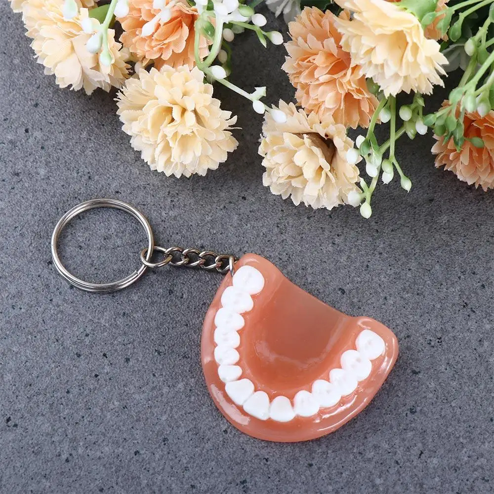 Creative Dental Decoration Simulation Resin Upper Jaw Teeth Pendant Teeth Keyring Denture Key Chain Tooth Key Chain