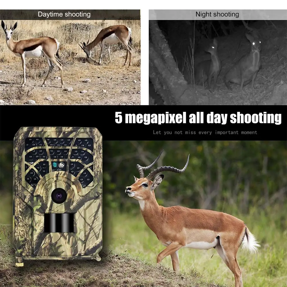 كاميرا الصيد المهنية كاشف الحيوانات البرية HD 720P مراقبة مقاومة للماء للرؤية الليلية أداة خارجية ورقة التمويه