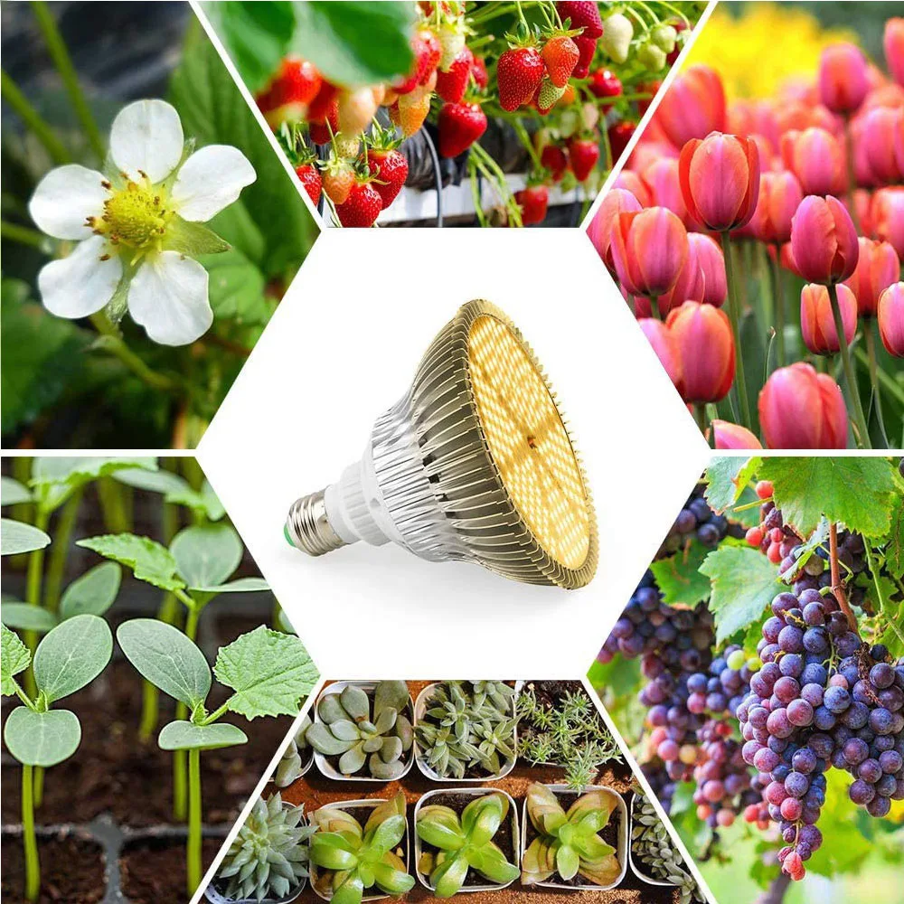 LED Plant 85-265V Growth Lamp Supplementary Light Greenhouse And E27 Full Spectrum Succulent Light Bulb Imitation Of Sun