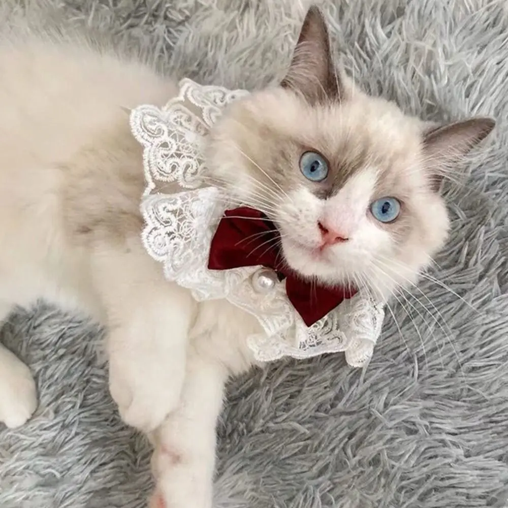 Adjustable Dog saliva towel Cat  Dog Neckerchief Lace Bowknot Puppy String Bib Pearl Collar