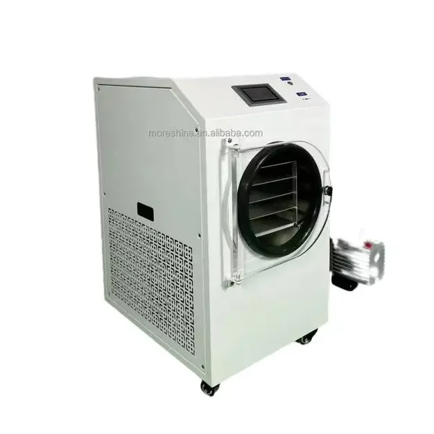 High Quality Powder Vegetables Vacuum Dryer Widespread Lab Supply Freeze Dryer for Candy and Jolly