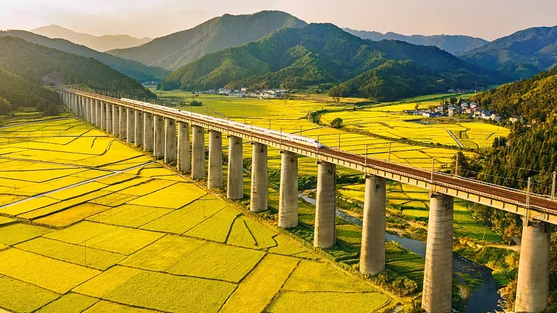 

4 Pairs Gemfan 1636 40mm 4-Blade Props - 1mm/1.5mm Hole CW/CCW Lightweight for RC FPV Tinywhoop Drones