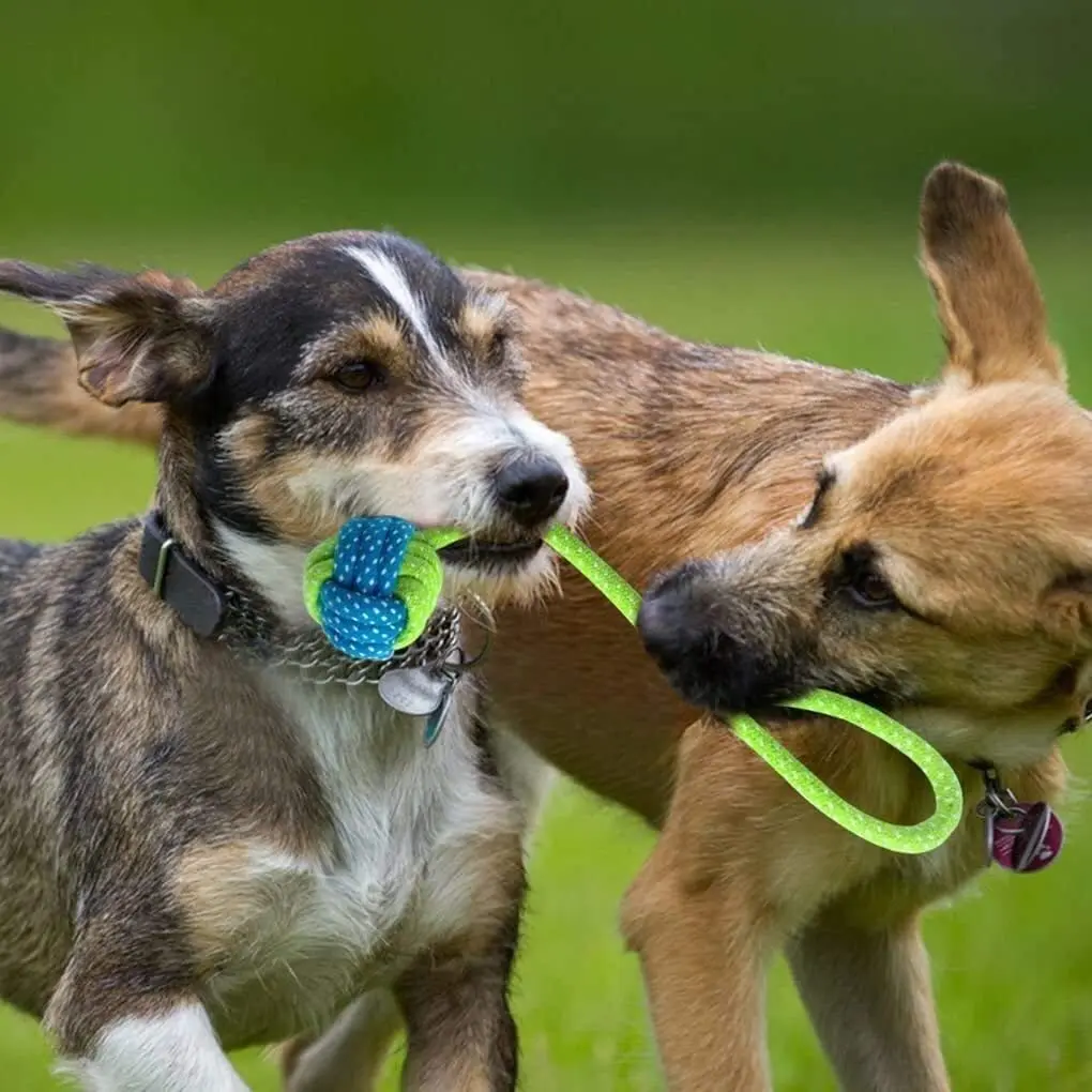 Haustier-Baumwollseil-Spielzeug, Hunde-Zahnreinigungsseil-Knotenspielzeug, Zahnreinigendes und bissfestes Hundespielzeug, Baumwollseil-Knotenball