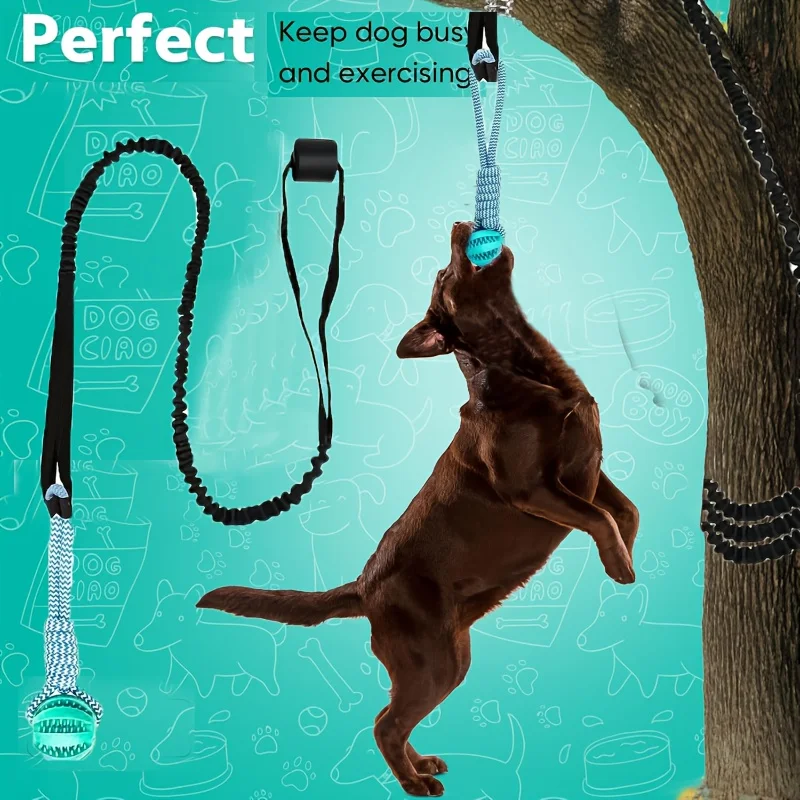 1pc Outdoor Bungee Tug dog Toy, Hanging Tree Tug Toy for tree stump, Interactive Exercise Play Cord & Tether with Chew Rope Toy