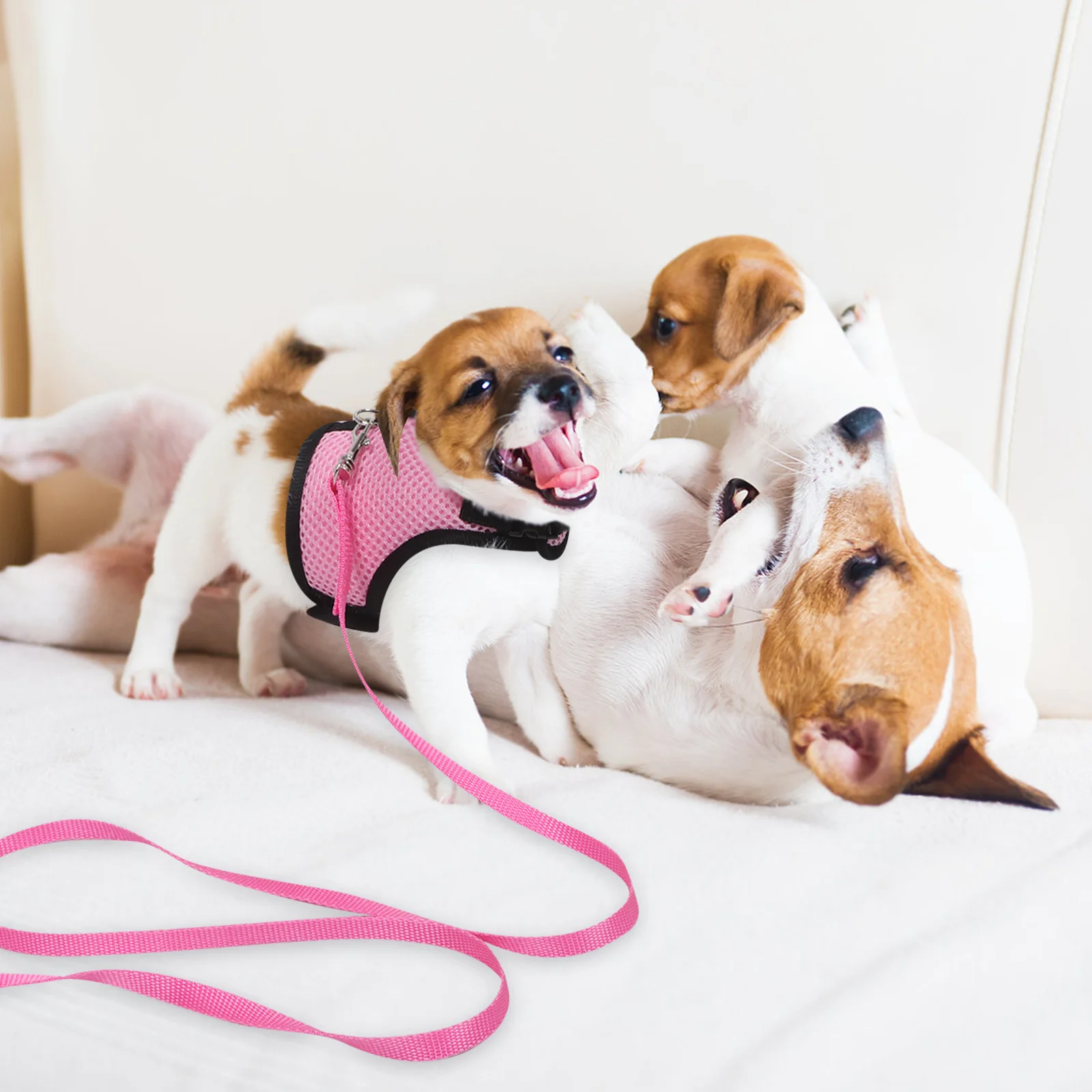 

2pcs Pet Harness For Small Dogs Rabbits Adjustable Mesh Vest Leash Set Escape Proof Safety Harness For Guinea Pig Kitten