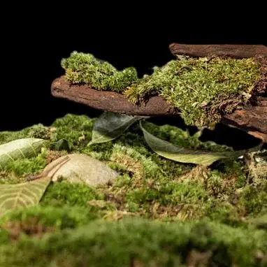 80V Replacement Bat…