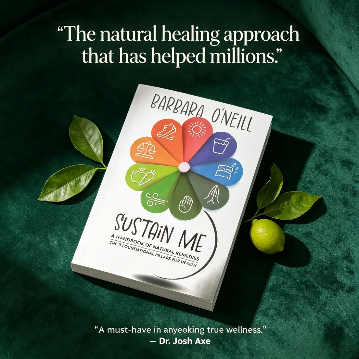 

Sustain Me By Barbara O'Neill Natural Remedies Handbook 9 Foundational Pillars for Holistic Health Guide