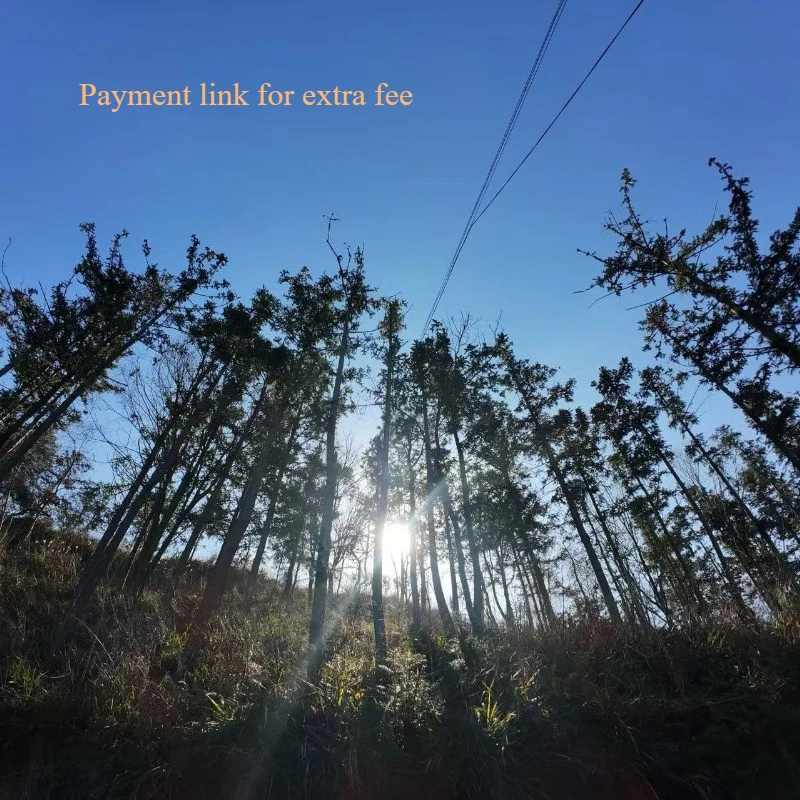 

payment link for extra fee