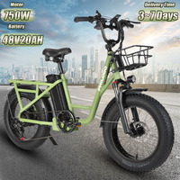 PHILODO T1 All Terrain Electric Bicycle 750W Motor 48V 20Ah Battery Electric Cargo Bike Max Range 60-90Km 20*4.0\