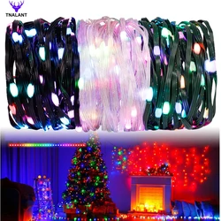 WS2812B RGBIC LED String DreamColor Christmas Party Birthday Light 5M 10M 20M Flexible Tape Light Outdoor Waterproof DC5V