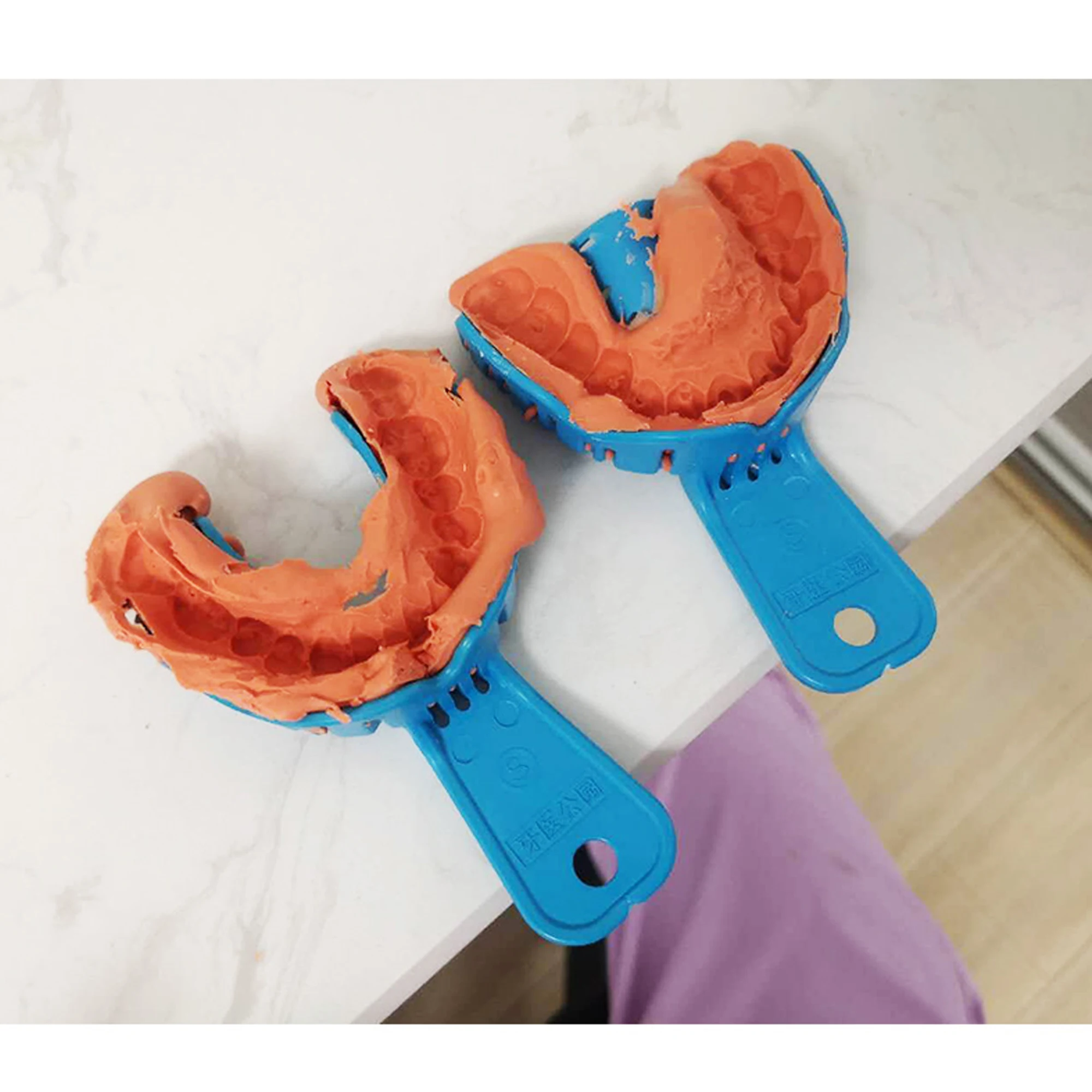 Dentpark Dental Model‑Taking Trays Heat‑Resistant Up To 135℃ Reusable Accessory For Dental Clinic 20 pairs