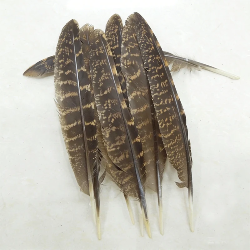50 Piezas de Plumas de Faisán Tragopan Naturales de 15-20 cm (6-8 Pulgadas), Plumas de Faisán con Patrón Especial para Sombreros, Decoración DIY