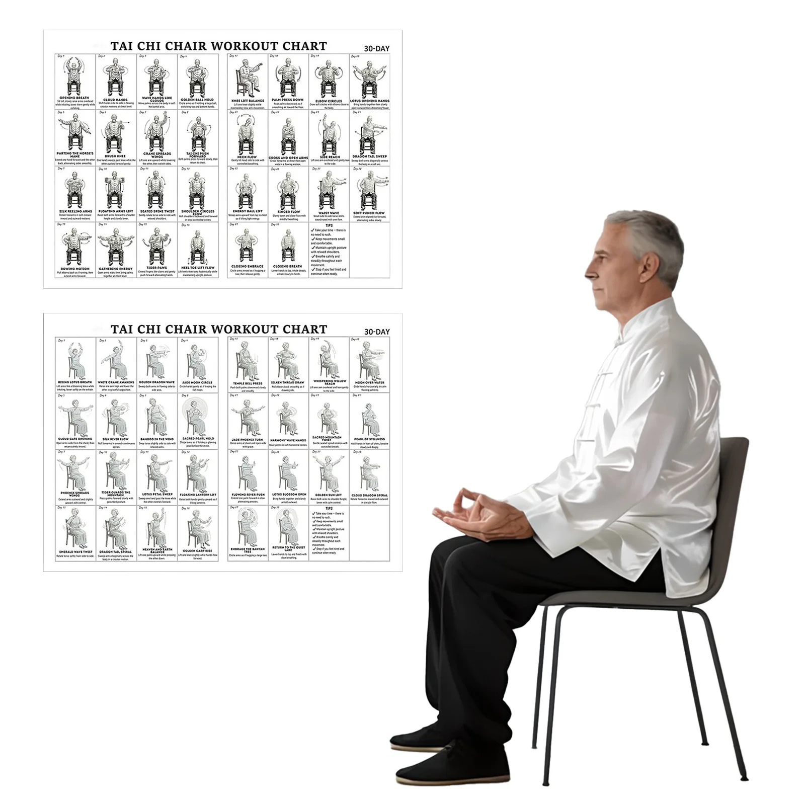 11.81 X 17.72 Inch Canvas Tai Chi Chair Workout Chart Poster Easy ...