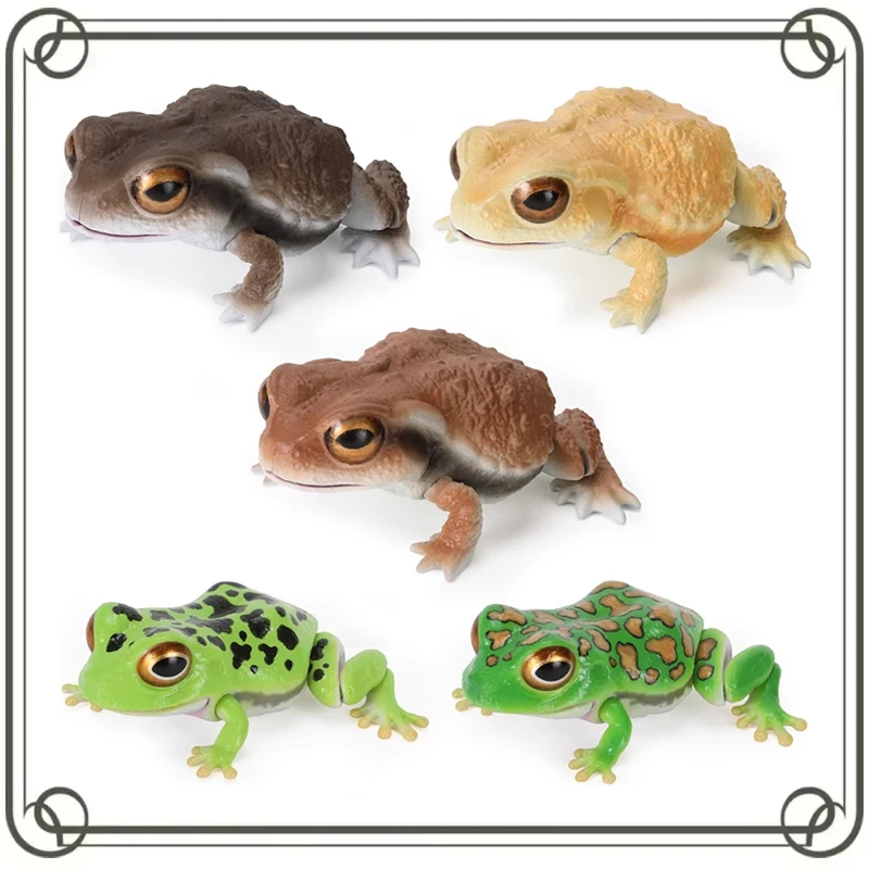 

Rhacophoridae Capsule Toys Simulation Anime Ornament Trendy Play Doll Room Decoration Action Figure Model Toys