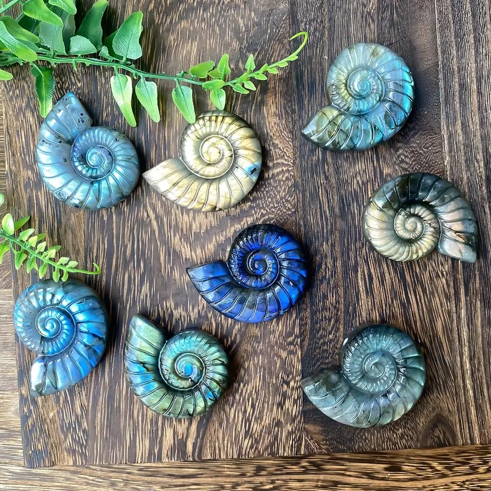 natural high quality hand carved creative crystal crafts labradorite ammonite fossil healing stone for decoration Flash Light Wh