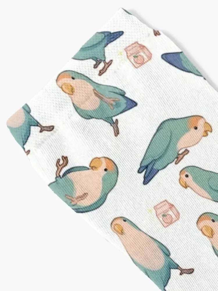 Playful blue lovebirds Socks floor FASHION Socks For Men Women's