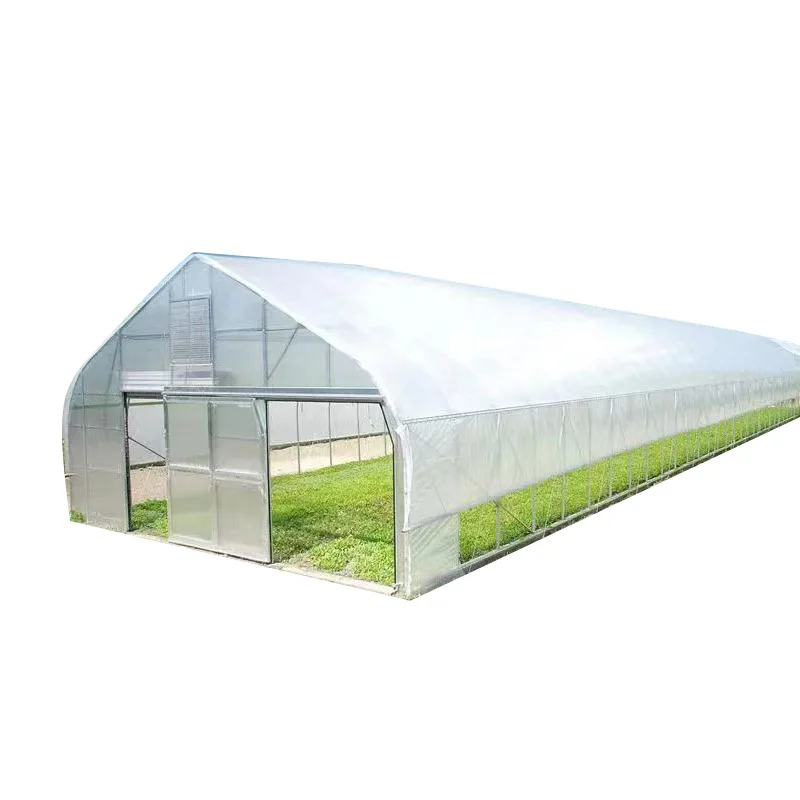 

2025Polyhouse Agriculture Tunnel Greenhouse Poly Carbonate Green House Frames