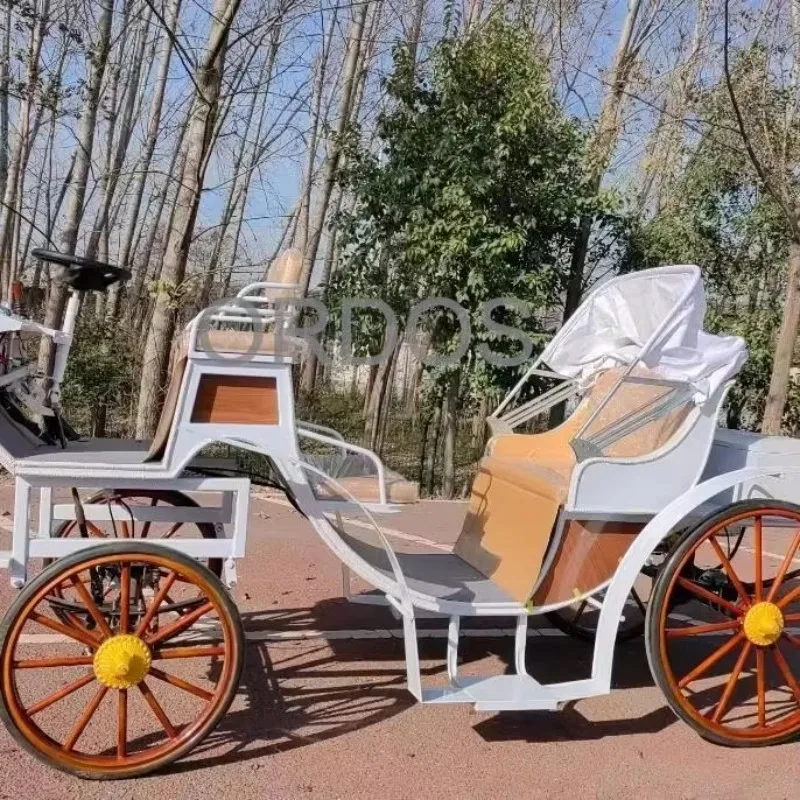 

Special transportation equipment for electric sightseeing vehicles