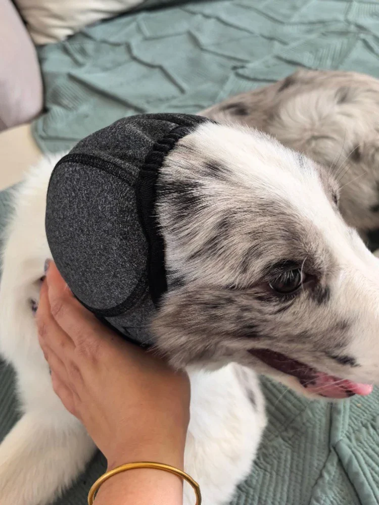 The popular new type of dog noise reduction and waterproof pet earmuffs are suitable for daily care and travel of dogs