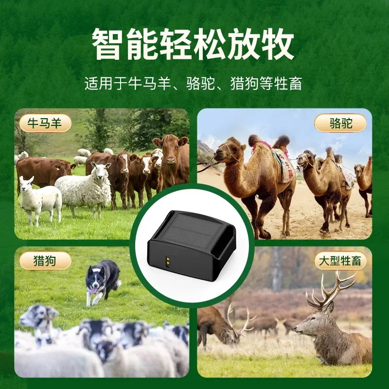 DurableCattle And Sheep Locator Intelligent 4G Beidou Livestock Farm Positioning Anti-lost Device Solar Waterproof Locator