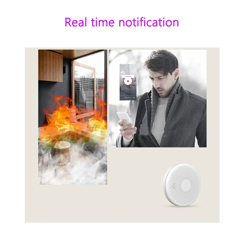 Tuya Intelligent WiFi Carbon Monoxide and Smoke Combination Detector Smart Real Time Notification Fire Alarm Sensor Detection