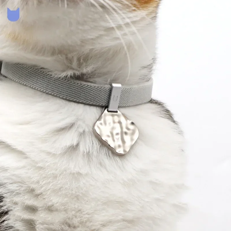 Wave Jewelry Pet Collars Custom Lettering Tag Cat Collar Gatos Accesorios Safe Kitten Collar Schnauzer Pomerian Dog Accessories