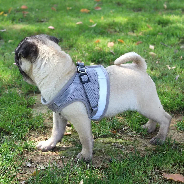 반사 고양이 하네스 통기성 고양이 개 하네스 및 가죽 끈 세트 조정 가능한 강아지 개 조끼 작은 개를위한 개 액세서리
