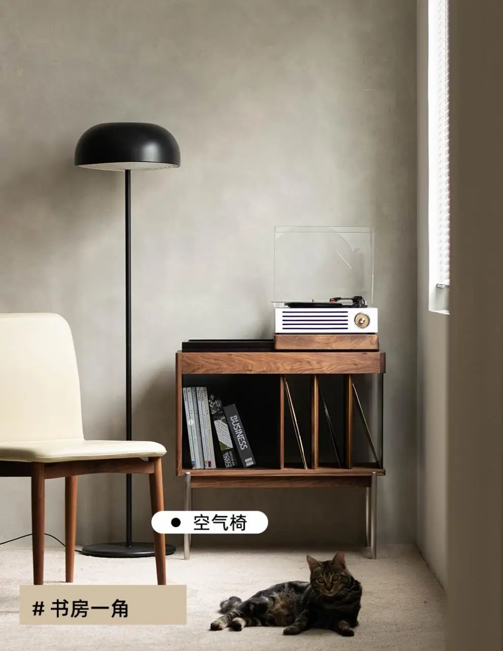 Magazine Cabinet Black Walnut Glass Edge Solid Wood Living Room Sofa