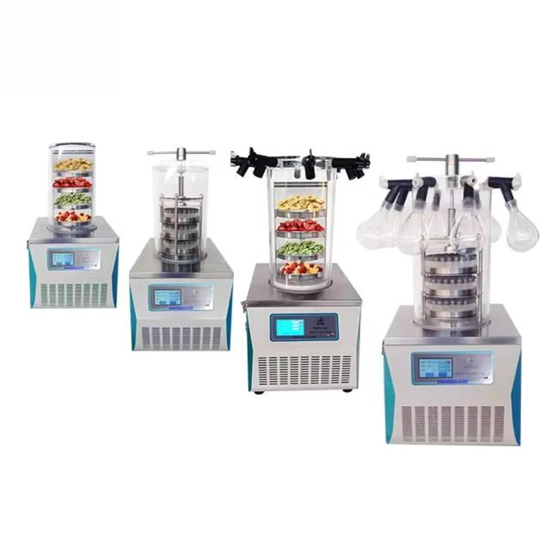 Рисунок 4 - Маленький мини для вакуумной сушки пищевых продуктов