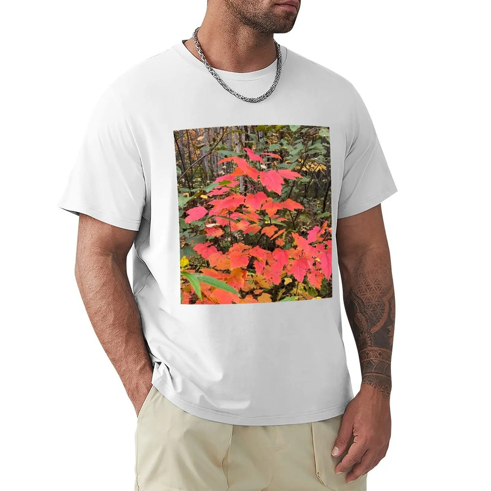 Fall Leaves Close up T-Shirt blanks blacks oversized t shirts for men