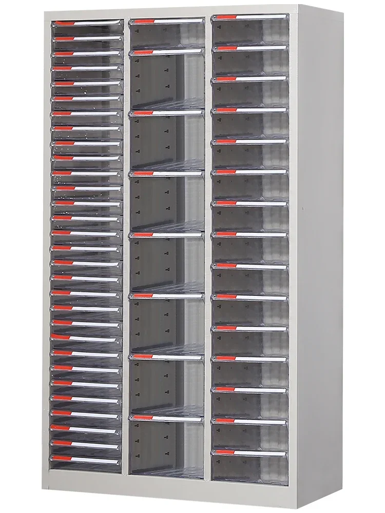 levels of organization