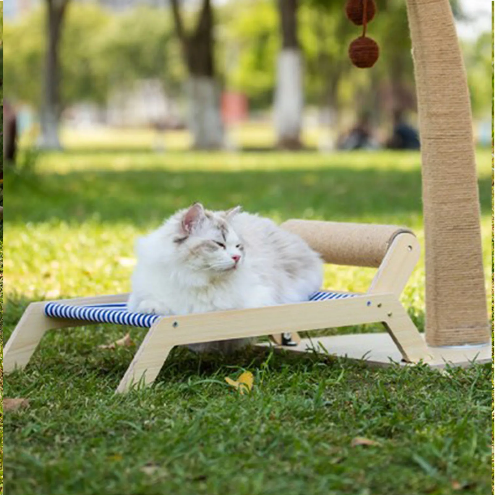 Cat Beach Chair Summer All Seasons Elevated Cat Bed With Sisal Scratcher For Cat Outdoor Indoor Beach Chair