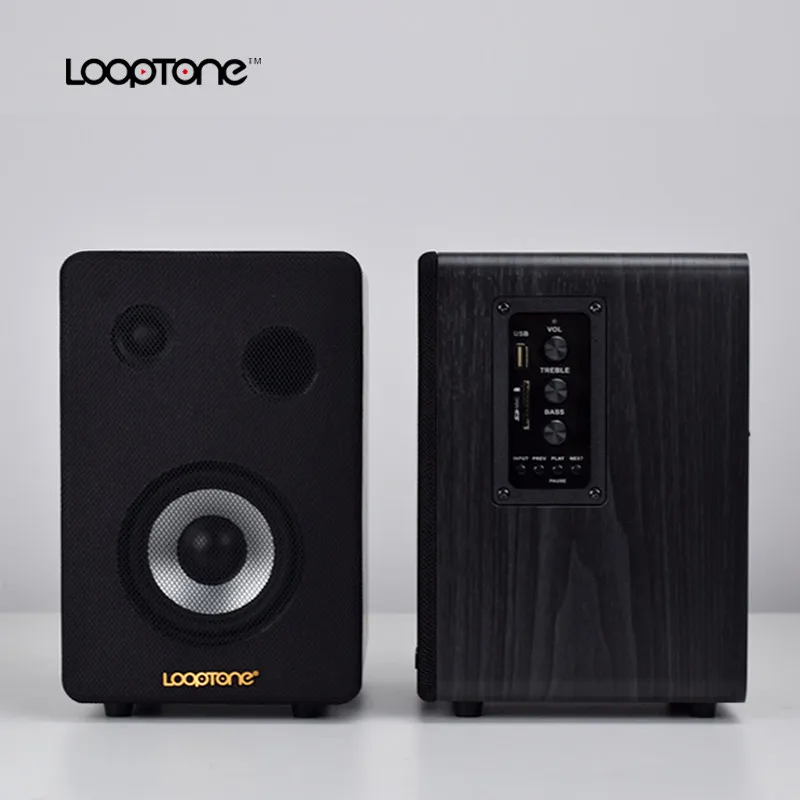 Active speaker U disk Bluetooth speaker dual input phonograph vinyl record player special stereo, built-in singing and playback