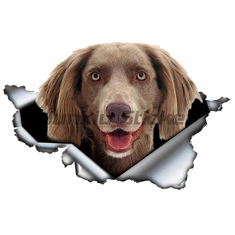 3D Dog Personality PVC Decal Weimaraner Vinyl Waterproof Car Sticker on Motorcycle Laptop Decorative Accessories