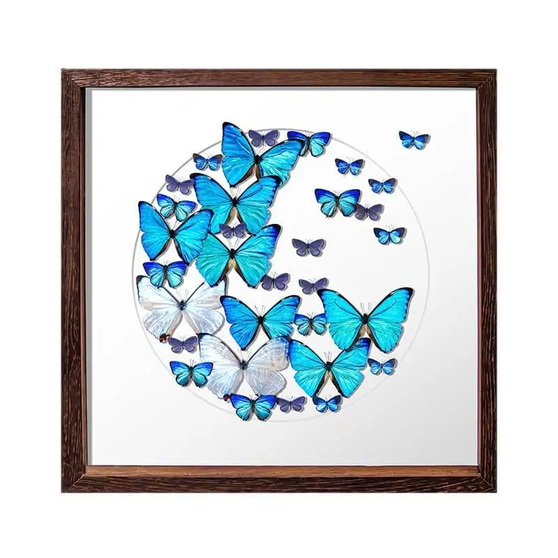 Butterfly Wall Art, 43cm Wooden Frame Butterfly Display, Blue Butterfly Decor Gift for Nature Lovers