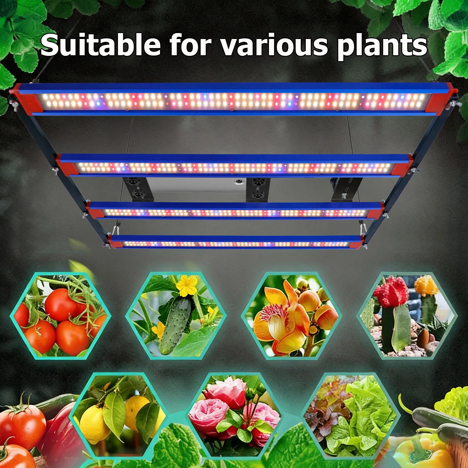85W 240W LED LM301H EVO Plant Growth Lamp 3000K 5000K Dimmable for Indoor Hydroponic Gardening