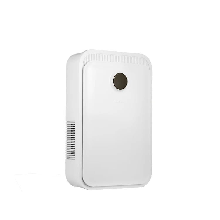 OEM ODM Wall Mounted Air Purifier Detection System Total HEAT Exchange Anti-Virus for School Dining Gym Hospital Hall