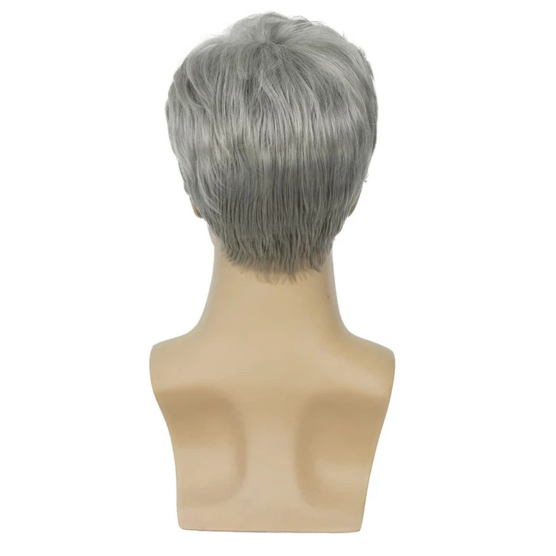 Grey Wigs Synthetic Wigs With Bangs Heat Resistant Glueless Synthetic Wigs for Men Short Wigs Cosplay Wigs White Wig Daily Use