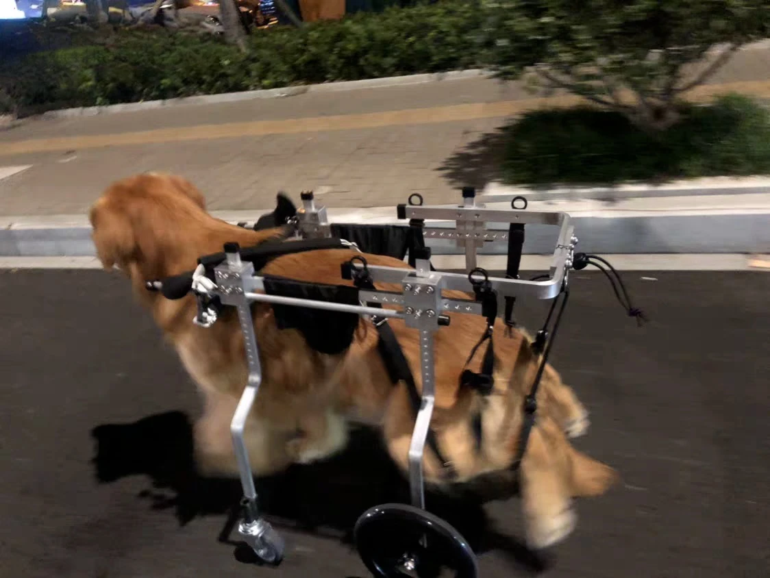 Silla de ruedas para perro, soporte auxiliar de cuatro ruedas para entrenamiento de rehabilitacion de mascotas, hemipleji