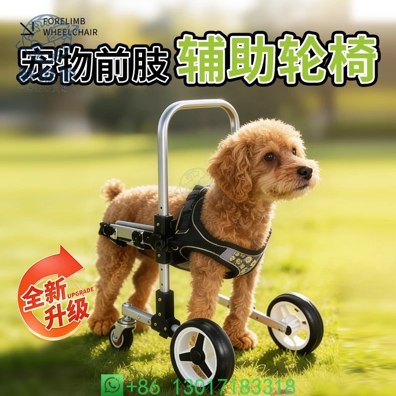 

Dog Front Leg Wheelchair Small 4 Wheels Lightweight Pet Wheelchair Mobility Assistance Cart for Disabled Dogs Affordable