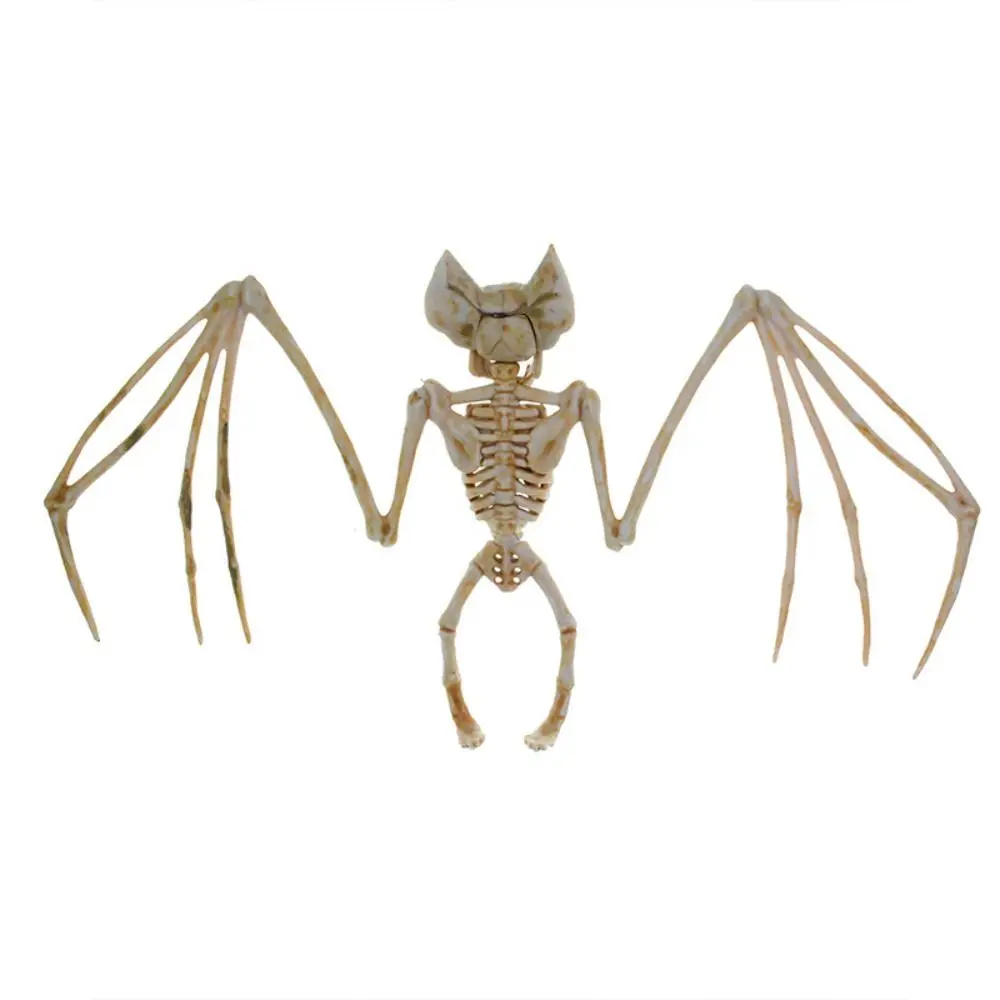 Human Bones Halloween Bats Skeleton Skeleton Model Bat Mouse Lizard Scorpion Halloween Animal Skeleton Scary Plastics